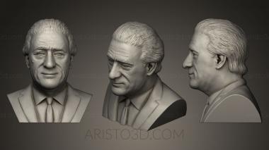 Busts and bas-reliefs of famous people (BUSTC_0524) 3D model for CNC machine